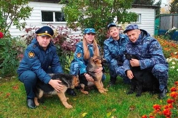 Пять пушистых новобранцев появились в УФСИН Томской области