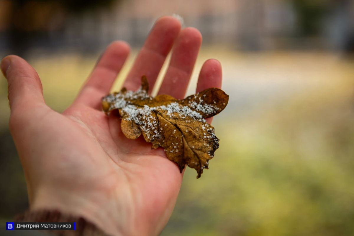 Томск занесло первым снегом: фоторепортаж с улиц города Томск занесло первым снегом: фоторепортаж с улиц города