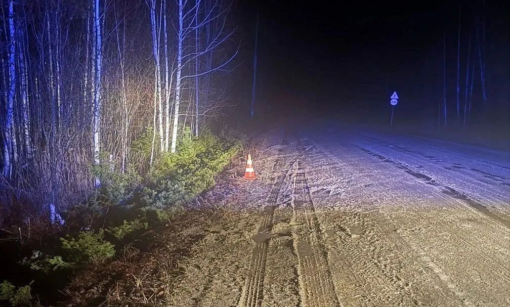 Водитель болотохода травмирован в результате дорожно-транспортного происшествия