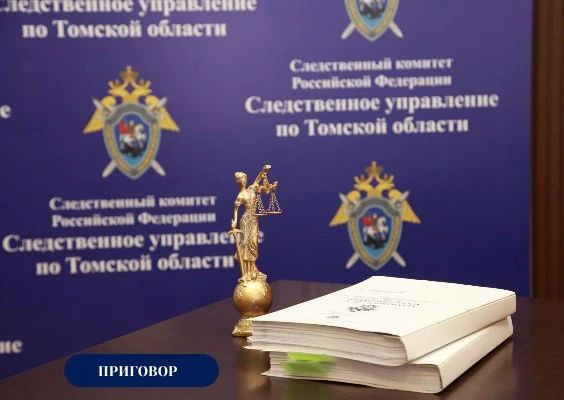 В Томской области местный житель признан виновным в совершении ДТП, повлекшем смерть несовершеннолетнего