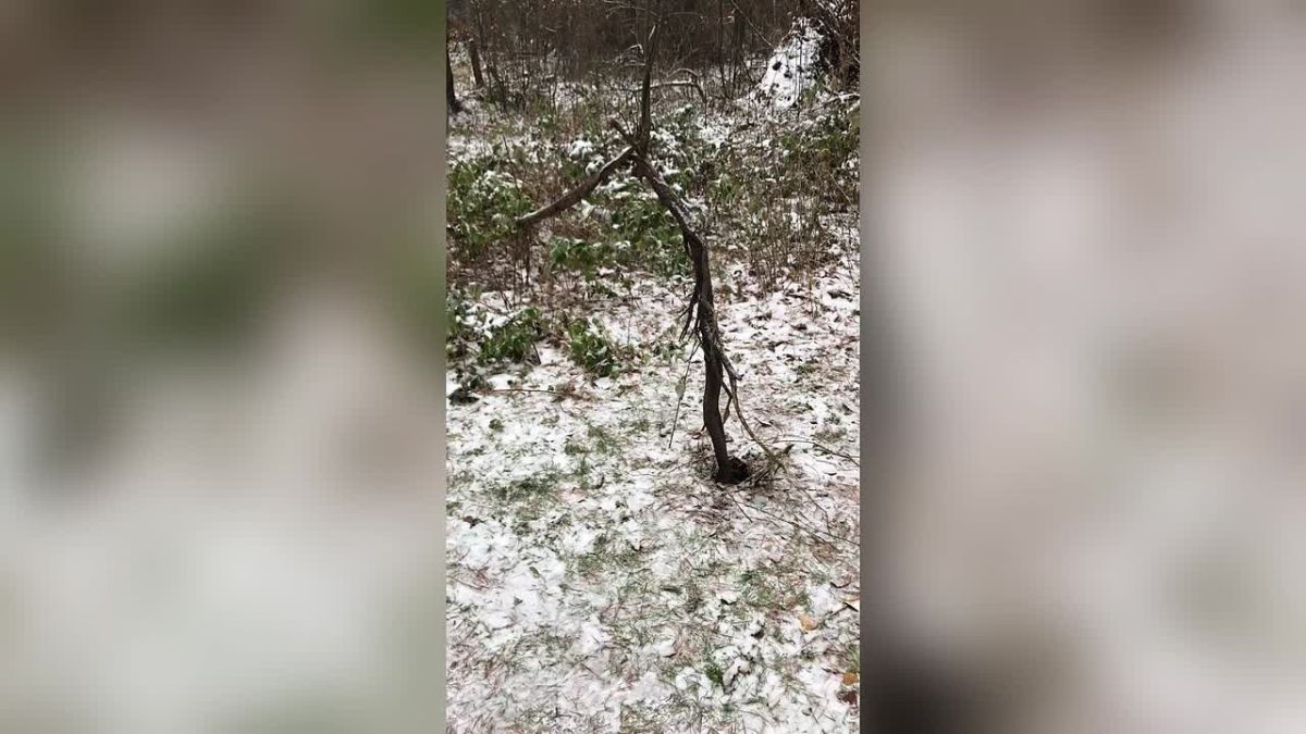 Вандалы устроили погром на экологической тропе в Колпашеве