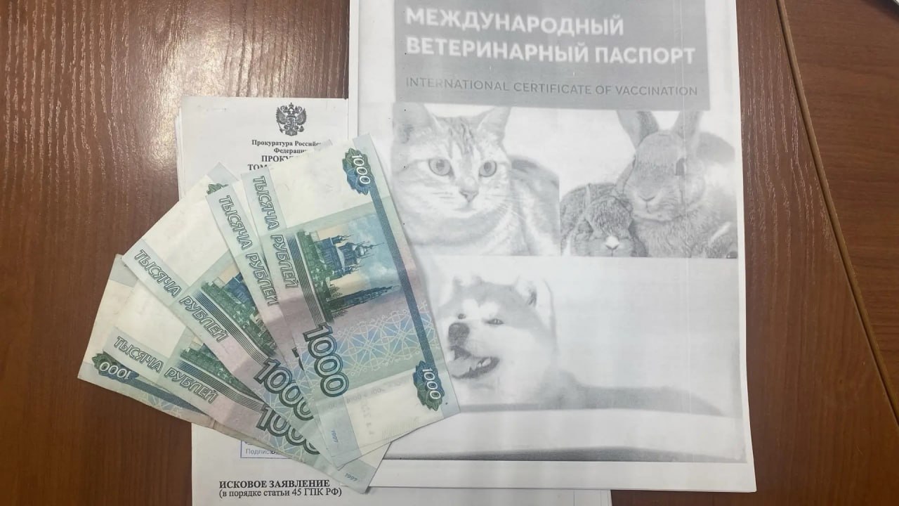 Прокуратура Кировского района г. Томска помогла девочке из села Тимирязевское получить компенсацию морального вреда после нападения соседской собаки