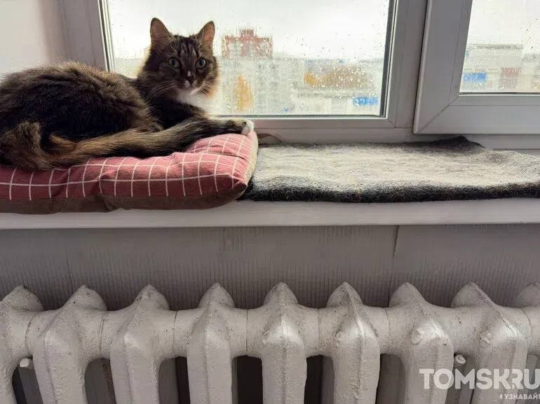 Томичей предупредили о доначислении за отопление в конце года
