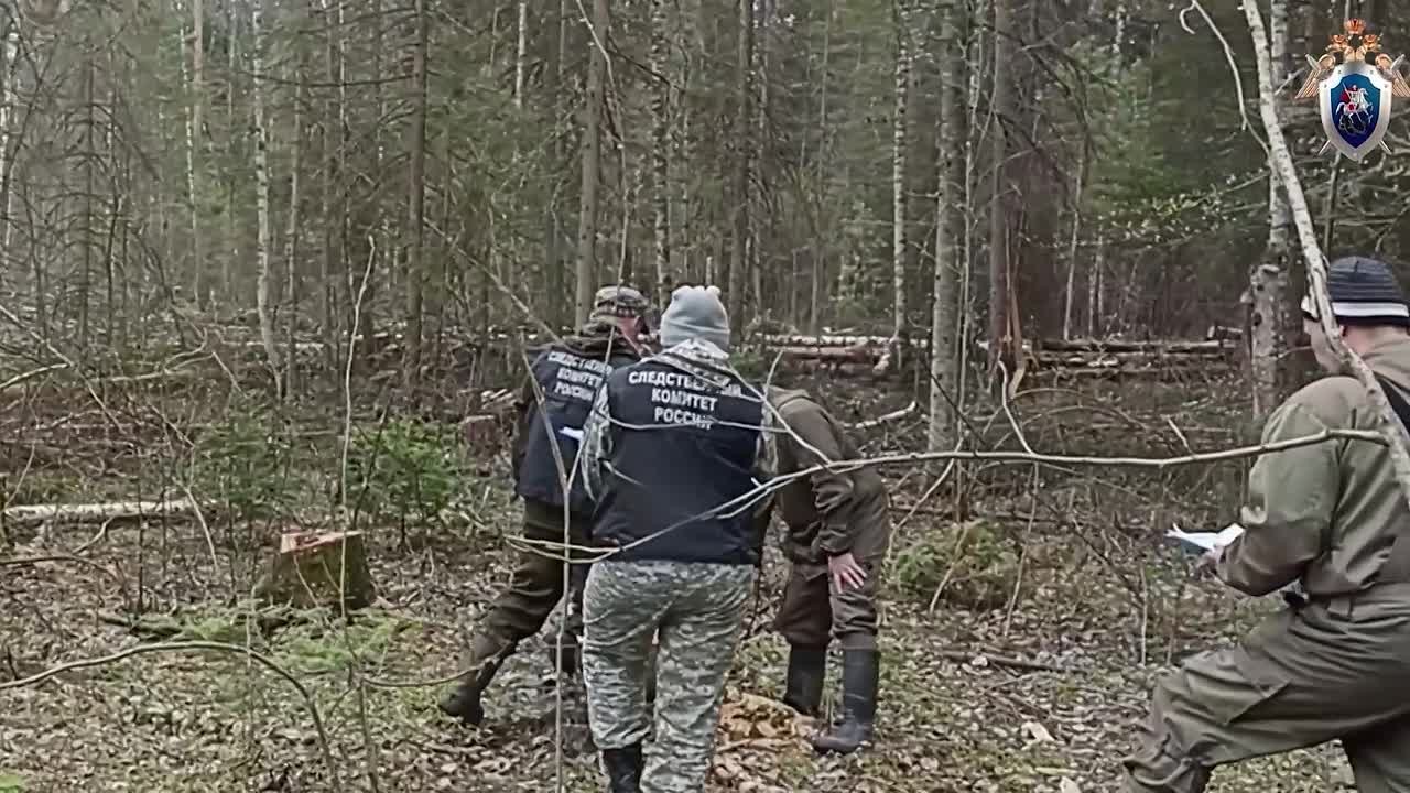 В Томской области бывший директор муниципального унитарного предприятия осужден за незаконную рубку леса
